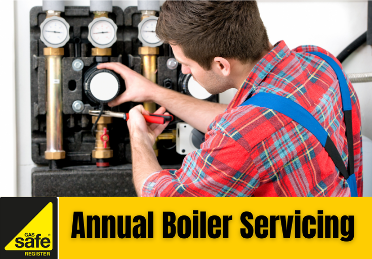 annual boiler servicing Medway