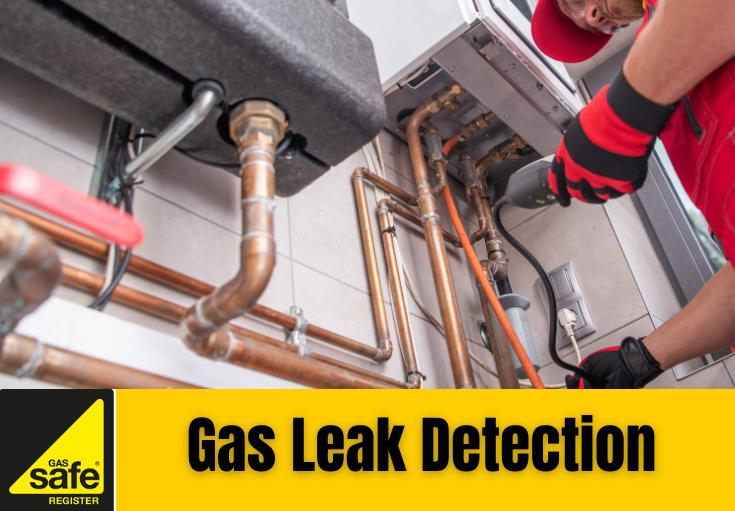 gas leak detection Medway